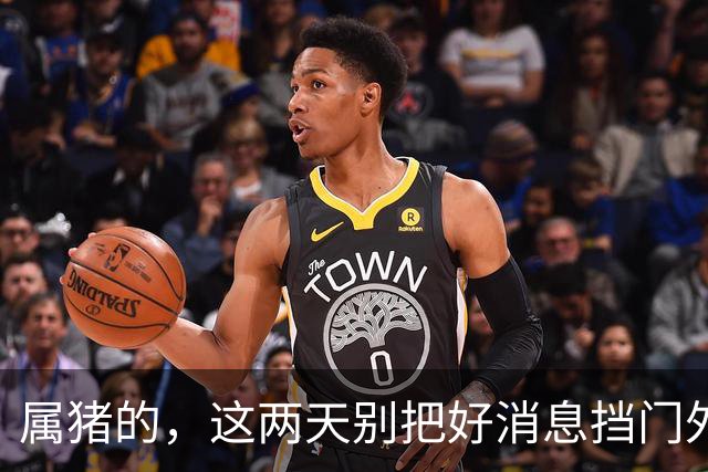 属猪的，这两天别把好消息挡门外