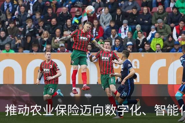 推动农业保险迈向数字化、智能化、标准化（政策解读）